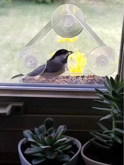 Bird Feeder House Window Mount with 3 Suction Cups - Clear Design, Elegant Shape for Birds