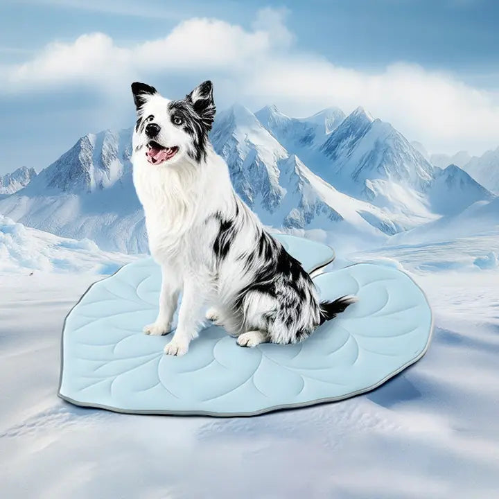 Vagascape Outdoor fun Cooling Pet Mat, Eco-Friendly Gel-Free Cooling Pad for Large Dogs, Viral Must-Have Summer Dog Essentials, Portable & Machine Washable Durable Mat for Crate Trunk Camping Travel