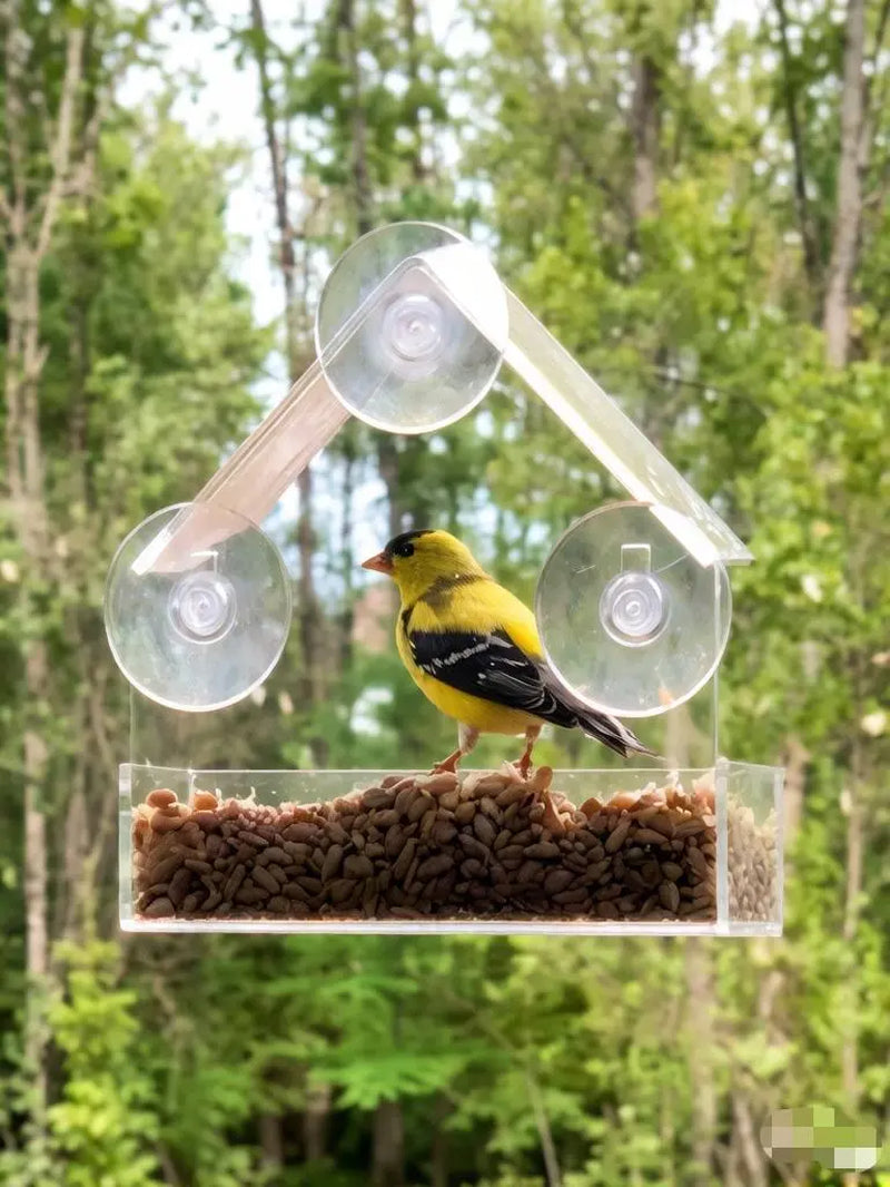 Bird Feeder House Window Mount with 3 Suction Cups - Clear Design, Elegant Shape for Birds