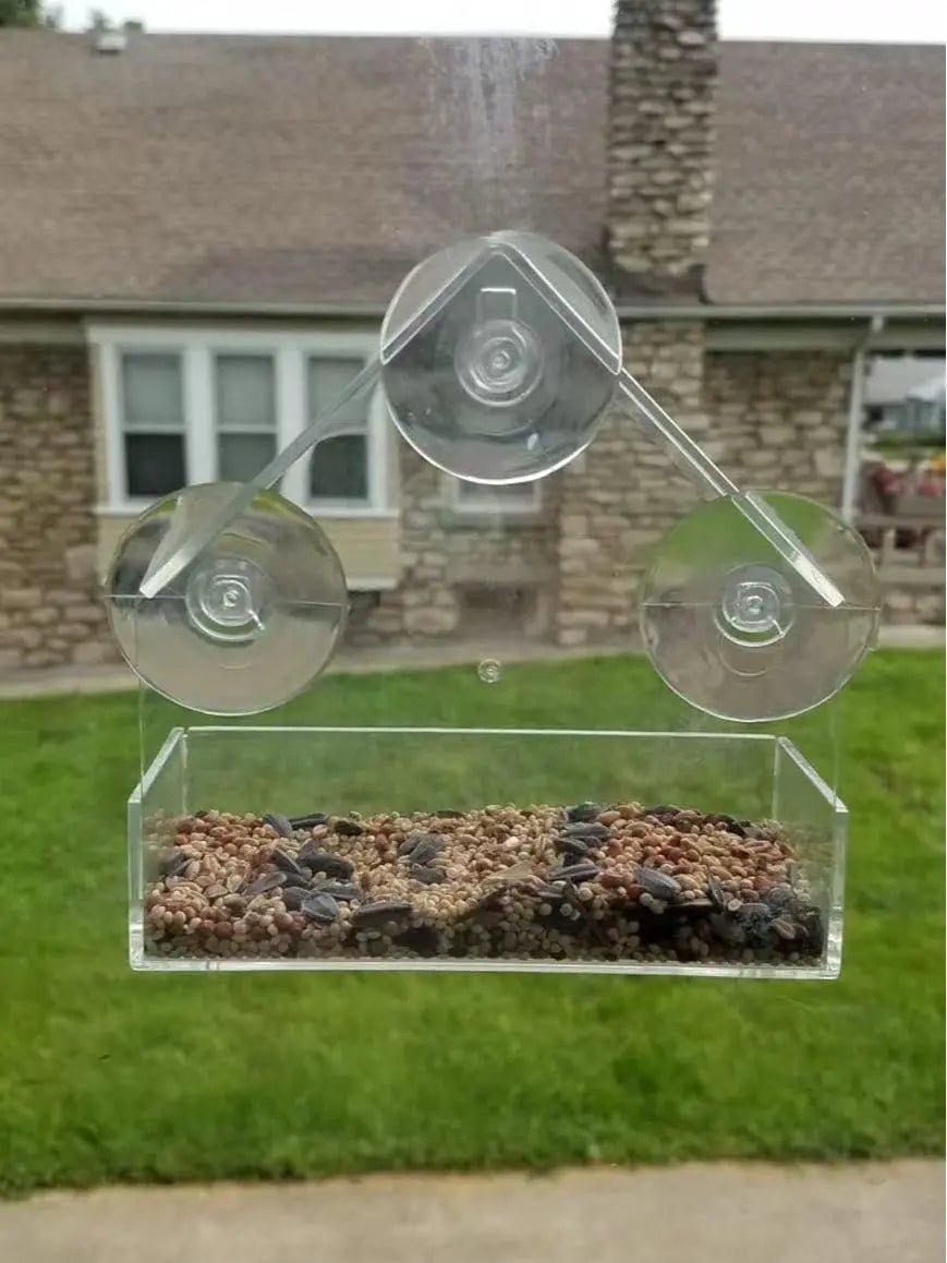 Bird Feeder House Window Mount with 3 Suction Cups - Clear Design, Elegant Shape for Birds