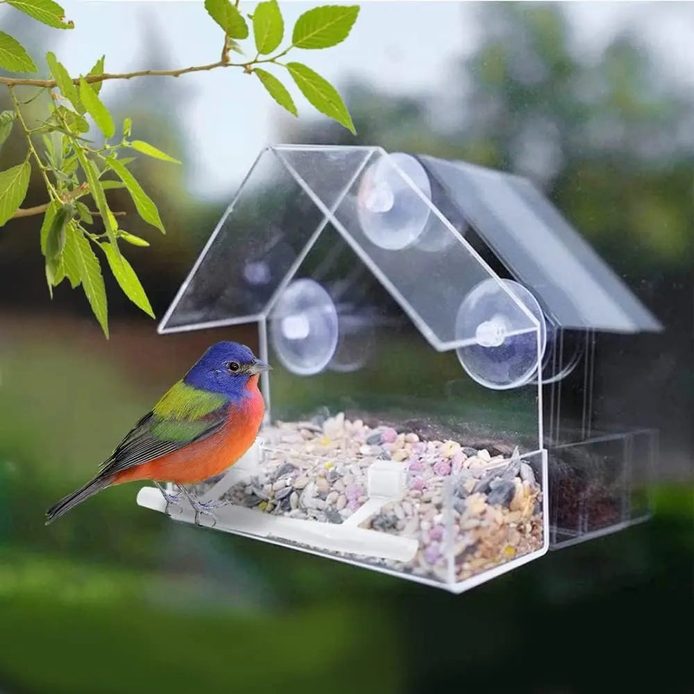 Window Bird Feeder, Bird House for outside with 2 Rod, Small 5.9 * 2.4 * 5.9 Inch